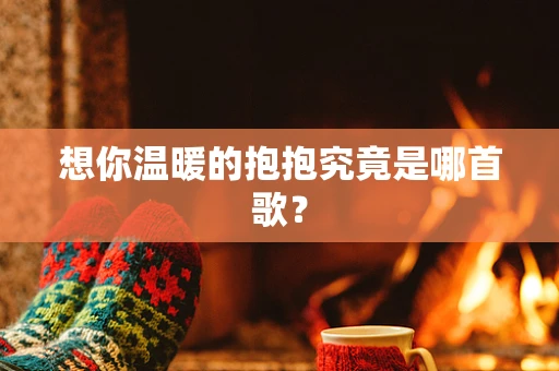 想你温暖的抱抱究竟是哪首歌？