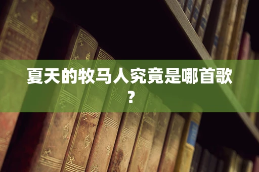 夏天的牧马人究竟是哪首歌？