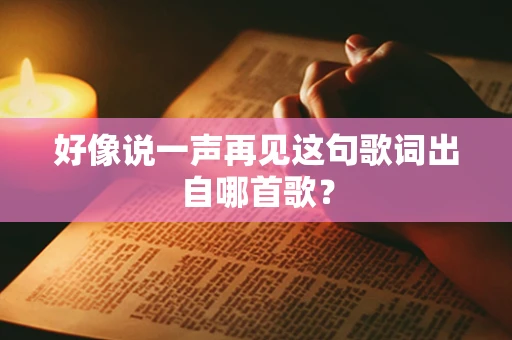 好像说一声再见这句歌词出自哪首歌？