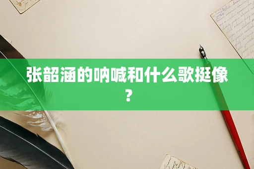 张韶涵的呐喊和什么歌挺像？