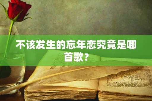 不该发生的忘年恋究竟是哪首歌？