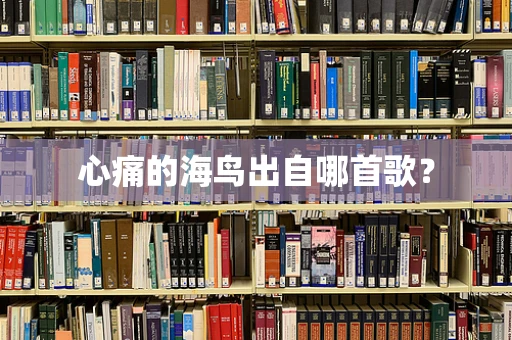 心痛的海鸟出自哪首歌？