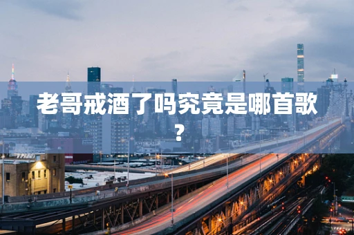 老哥戒酒了吗究竟是哪首歌？
