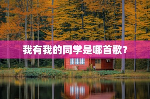 我有我的同学是哪首歌？