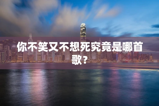 你不笑又不想死究竟是哪首歌？