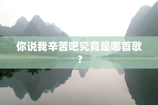 你说我辛苦吧究竟是哪首歌？