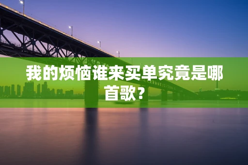 我的烦恼谁来买单究竟是哪首歌？
