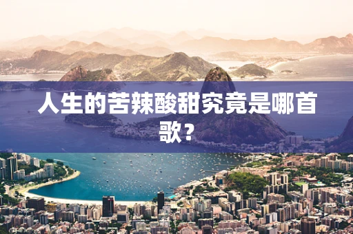 人生的苦辣酸甜究竟是哪首歌？