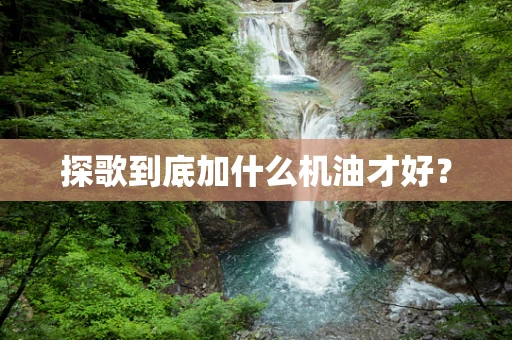 探歌到底加什么机油才好？