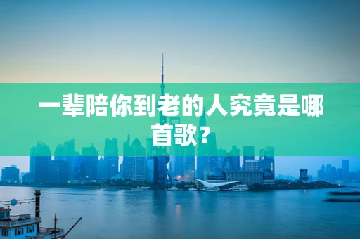 一辈陪你到老的人究竟是哪首歌？
