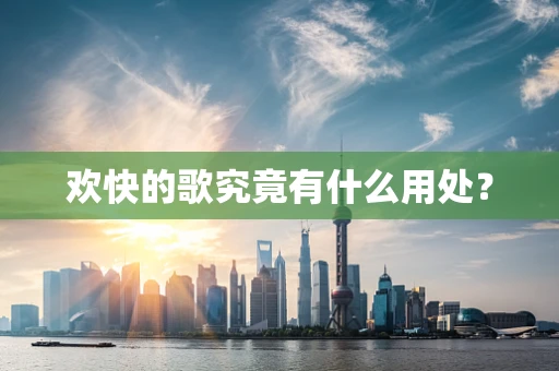 欢快的歌究竟有什么用处？
