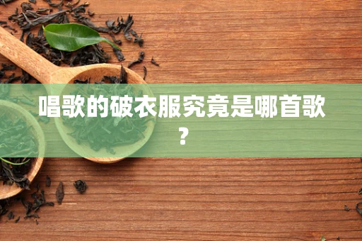 唱歌的破衣服究竟是哪首歌？