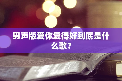 男声版爱你爱得好到底是什么歌？