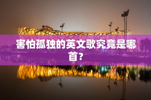 害怕孤独的英文歌究竟是哪首？
