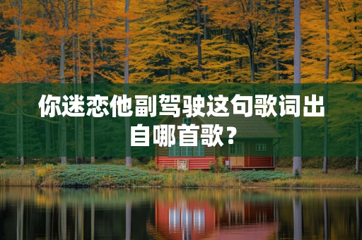 你迷恋他副驾驶这句歌词出自哪首歌？