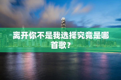 离开你不是我选择究竟是哪首歌？