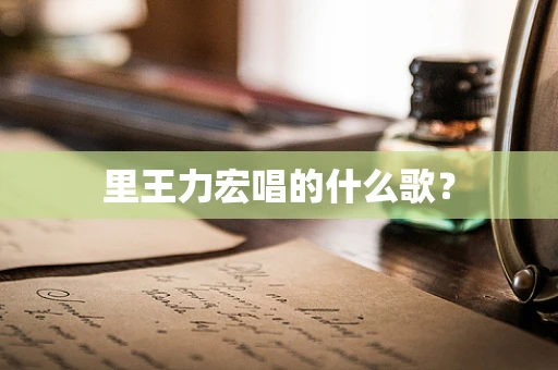 里王力宏唱的什么歌？