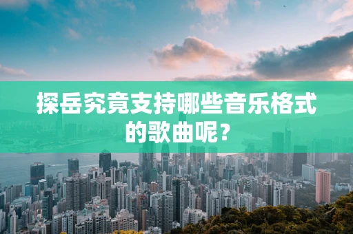 探岳究竟支持哪些音乐格式的歌曲呢？