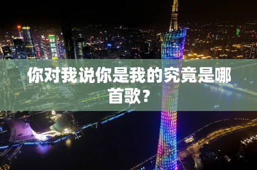 你对我说你是我的究竟是哪首歌？