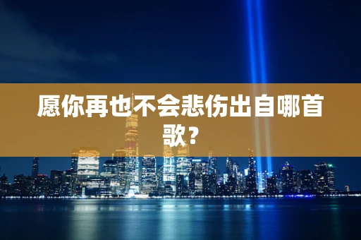 愿你再也不会悲伤出自哪首歌？