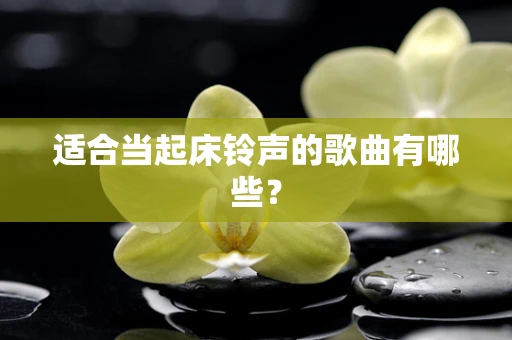 适合当起床铃声的歌曲有哪些？