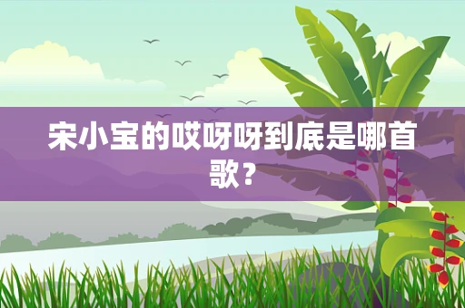 宋小宝的哎呀呀到底是哪首歌？