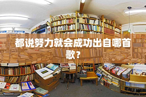 都说努力就会成功出自哪首歌？