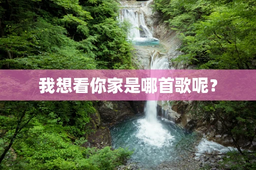 我想看你家是哪首歌呢？