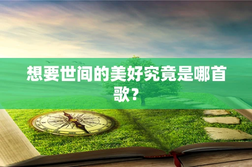 想要世间的美好究竟是哪首歌？