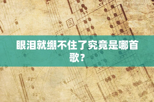 眼泪就绷不住了究竟是哪首歌？