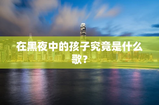 在黑夜中的孩子究竟是什么歌？