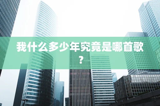 我什么多少年究竟是哪首歌？
