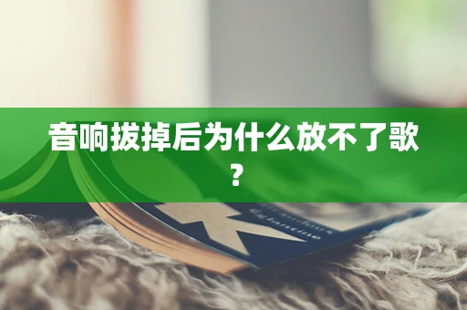 音响拔掉后为什么放不了歌？