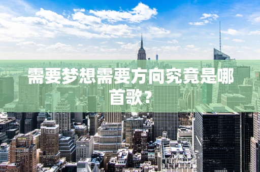 需要梦想需要方向究竟是哪首歌？