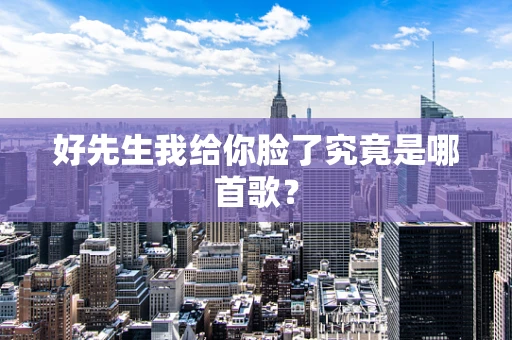 好先生我给你脸了究竟是哪首歌？