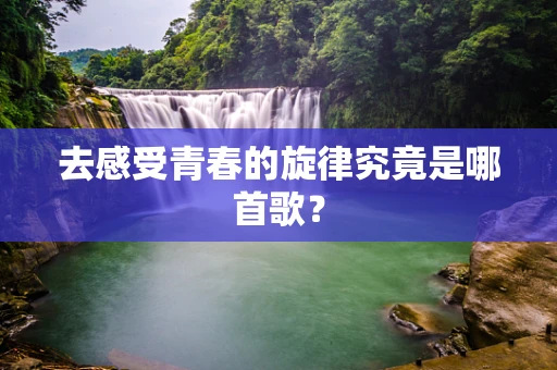 去感受青春的旋律究竟是哪首歌？