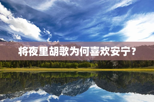 将夜里胡歌为何喜欢安宁？