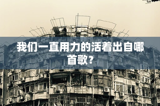 我们一直用力的活着出自哪首歌？