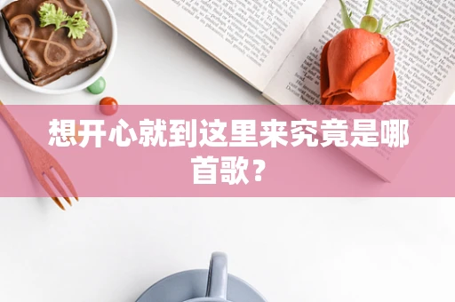 想开心就到这里来究竟是哪首歌？