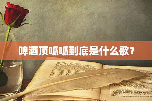 啤酒顶呱呱到底是什么歌？