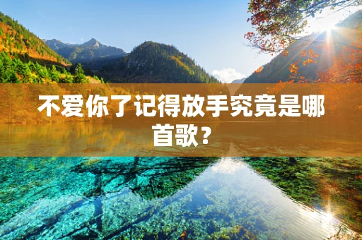 不爱你了记得放手究竟是哪首歌？