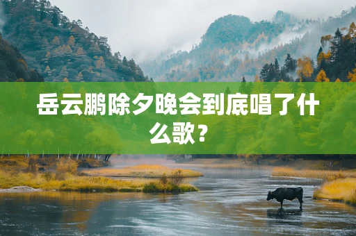 岳云鹏除夕晚会到底唱了什么歌？