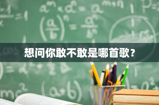 想问你敢不敢是哪首歌？