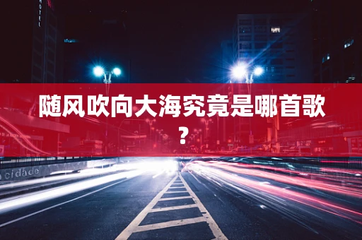 随风吹向大海究竟是哪首歌？