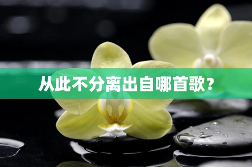 从此不分离出自哪首歌？