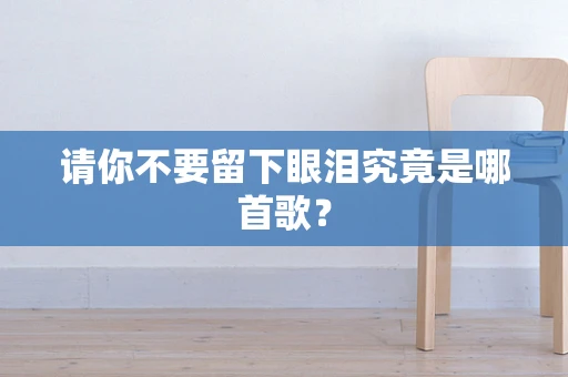 请你不要留下眼泪究竟是哪首歌？