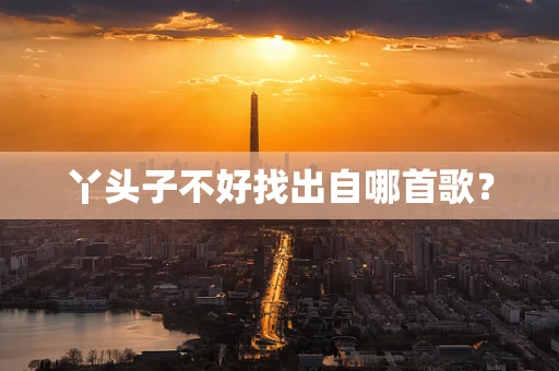 丫头子不好找出自哪首歌？