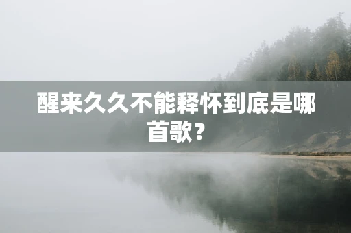 醒来久久不能释怀到底是哪首歌？