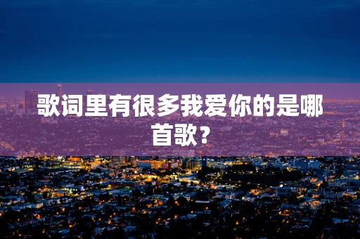 歌词里有很多我爱你的是哪首歌？