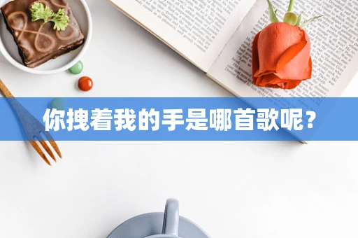 你拽着我的手是哪首歌呢？